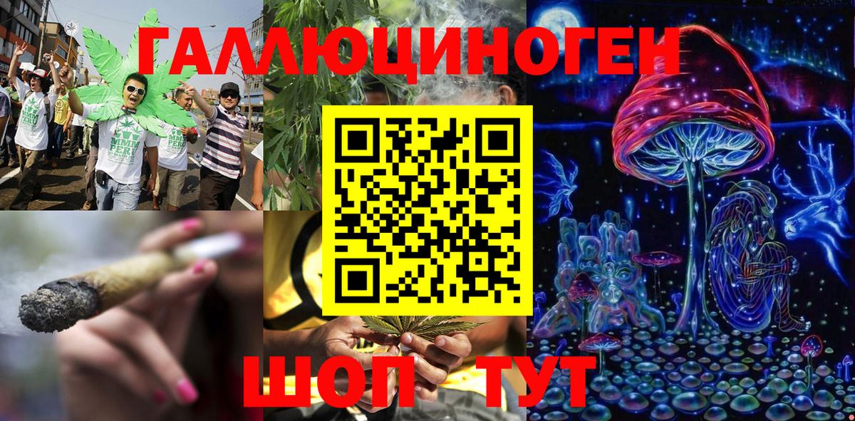 Будённовск  купить   Вход с VPN  Псилоцибиновые грибы MAGIC MUSHROOMS 