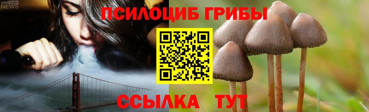 Псилоцибиновые грибы прущие грибы Будённовск